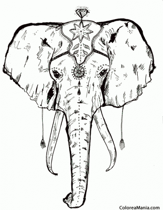Colorear cabeza de Elefante realista 2