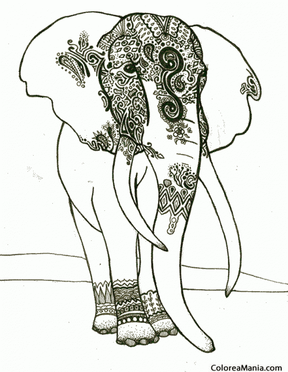 Colorear Elefante ornamentado 