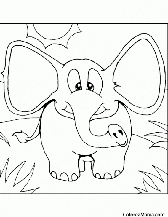 Colorear Elefante de orejas grandes 2