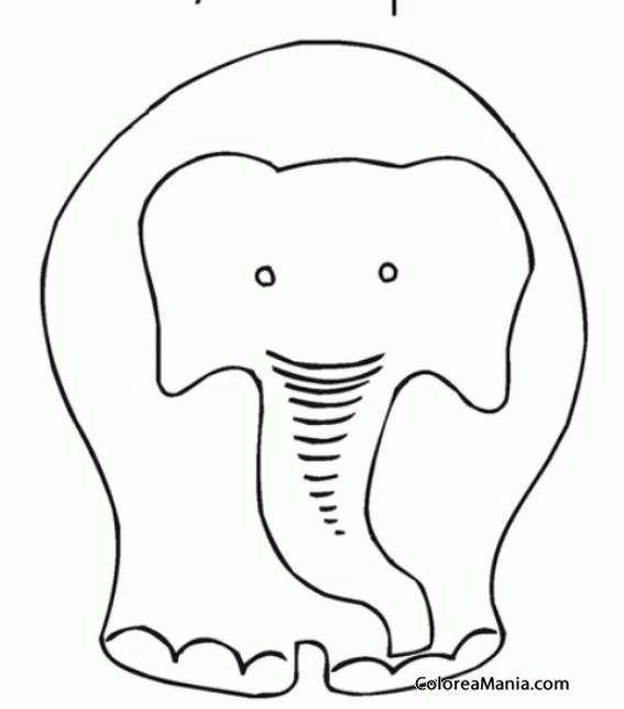 Colorear Elefante de frente, dibujo infantil