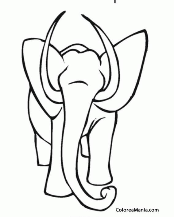 Colorear Silueta de Elefante adulto, de frente