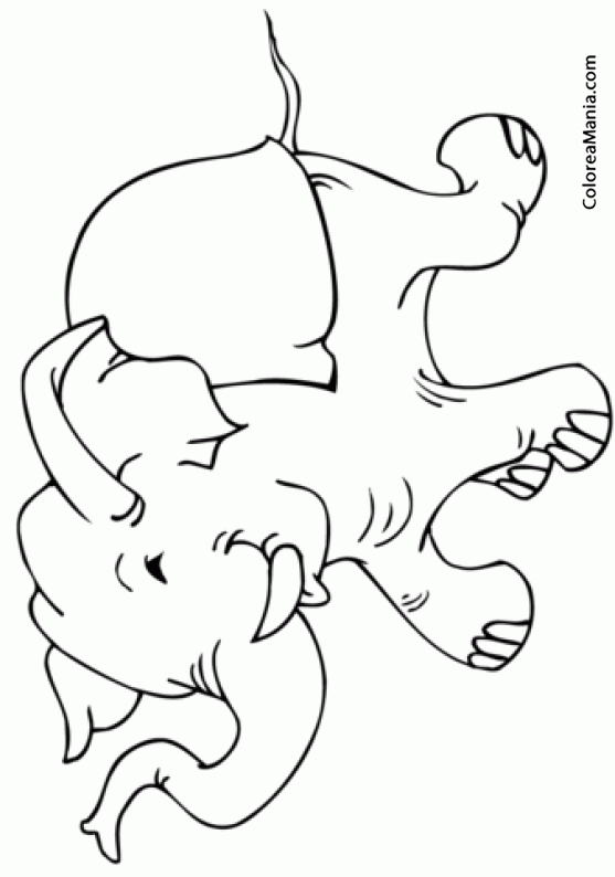 Colorear Elefante corriendo