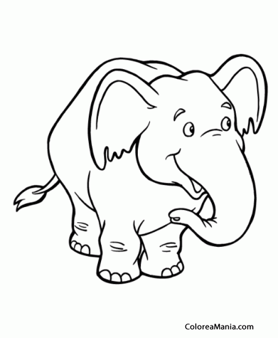 Colorear Simptico Elefante 