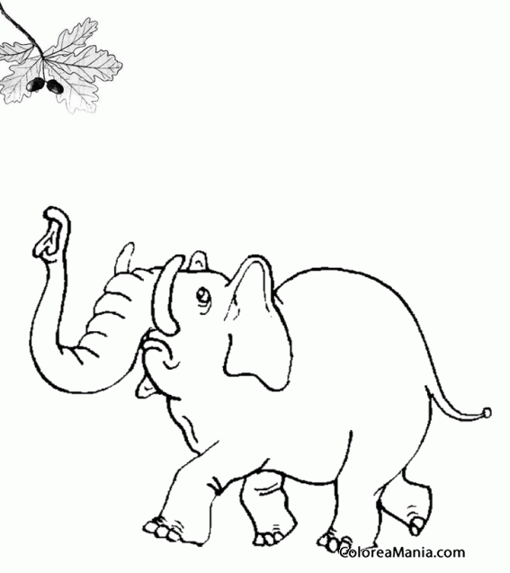 Colorear Elefante que no alcanza la comida