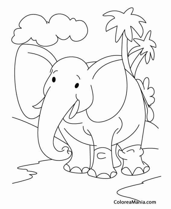Juego Educativo Libro Para Colorear Para Los Ninos De Africa