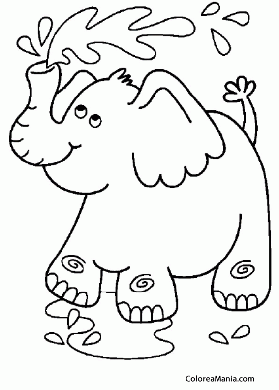 Colorear Elefante duchndose