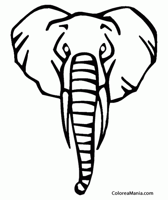 Colorear Cabeza Elefante