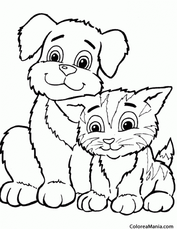 Colorear Perro y gato amigos (Animales Domésticos), dibujo para colorear  gratis