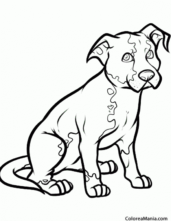 Colorear Perro sentado (Animales Domésticos), dibujo para colorear gratis