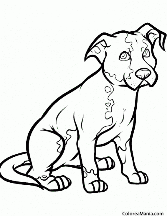 Colorear Perro sentado (Animales Domésticos), dibujo para colorear gratis Colorear Perro sentado (Animales Domésticos), dibujo para colorear gratis