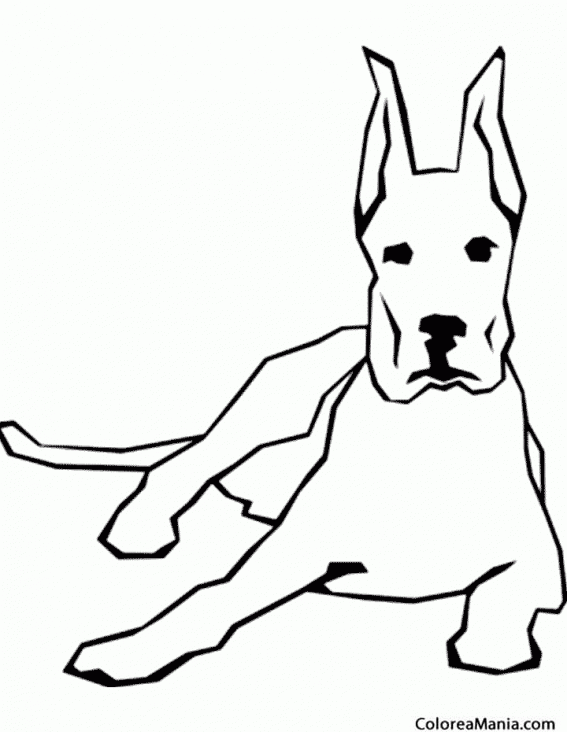 Colorear Perro Dogo. Alano