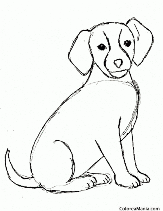 Colorear Perro sentado 2 (Animales Domésticos), dibujo para colorear gratis