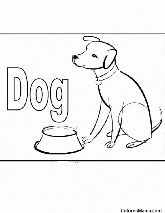 Colorear Perro con su plato. Dog