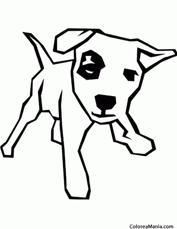 Colorear Perro pirata