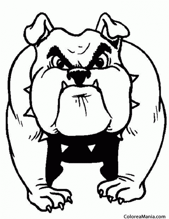 Colorear Perro Bulldog 2 (Animales Domésticos), dibujo para colorear gratis