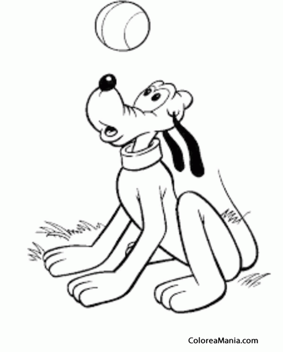 Colorear Pluto vigila la pelota