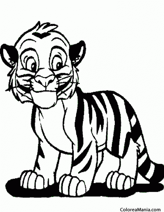 Colorear Tigre cachorro