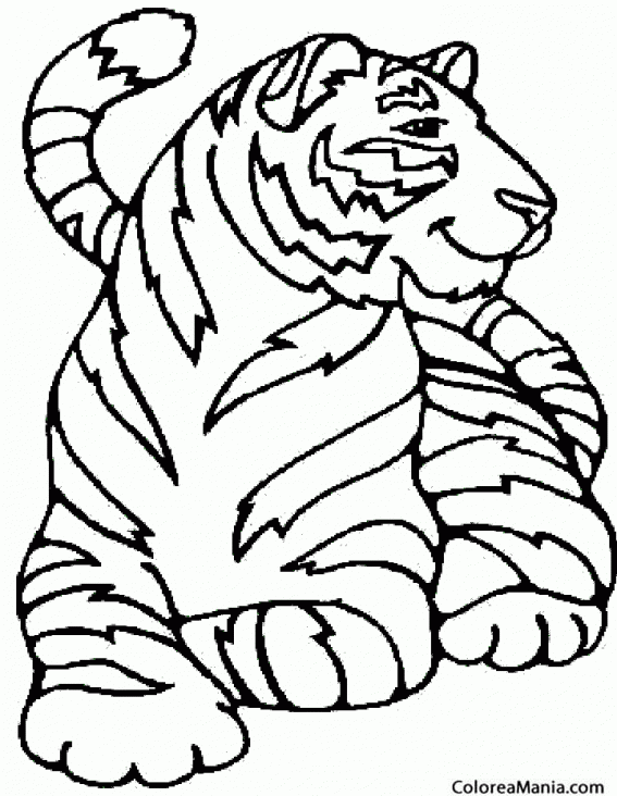 Colorear Tigre tumbado (Animales de la Selva), dibujo para colorear gratis