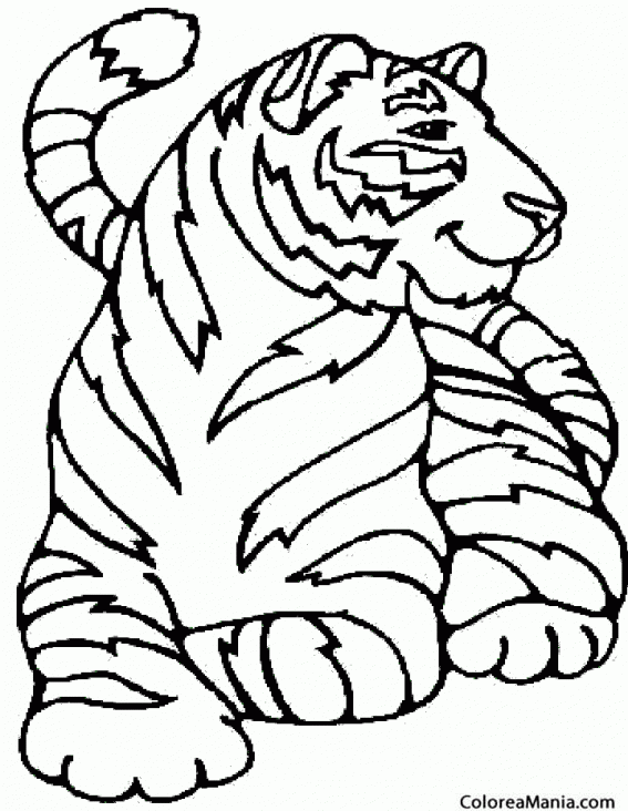 Colorear Tigre tumbado (Animales de la Selva), dibujo para colorear gratis Colorear Tigre tumbado (Animales de la Selva), dibujo para colorear gratis