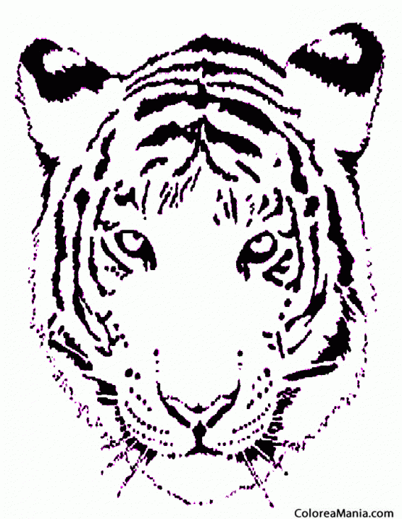 Colorear Cabeza de tigre 2