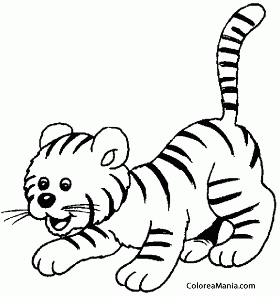 Colorear Cachorro de tigre (Animales de la Selva), dibujo para colorear  gratis