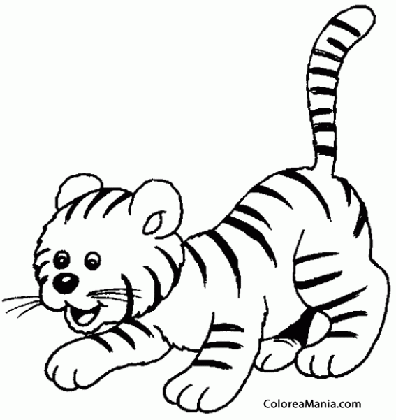 Colorear Cachorro de tigre (Animales de la Selva), dibujo para colorear gratis Colorear Cachorro de tigre (Animales de la Selva), dibujo para colorear gratis