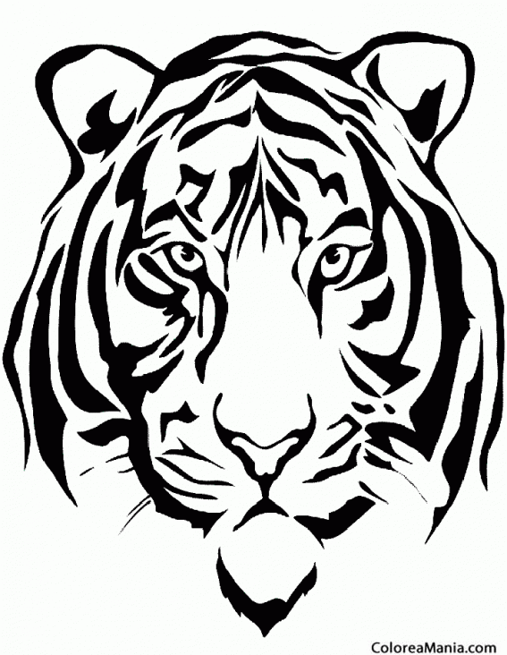 Colorear Cabeza de Tigre 4