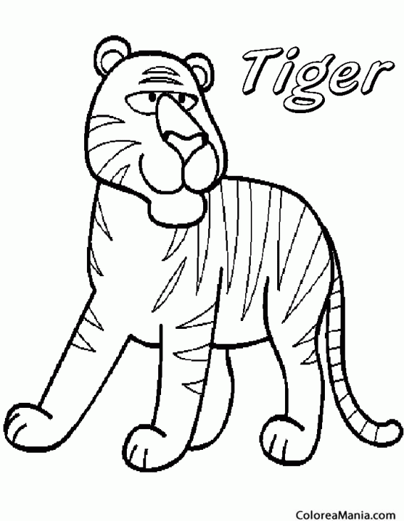 Colorear Tigre bizco