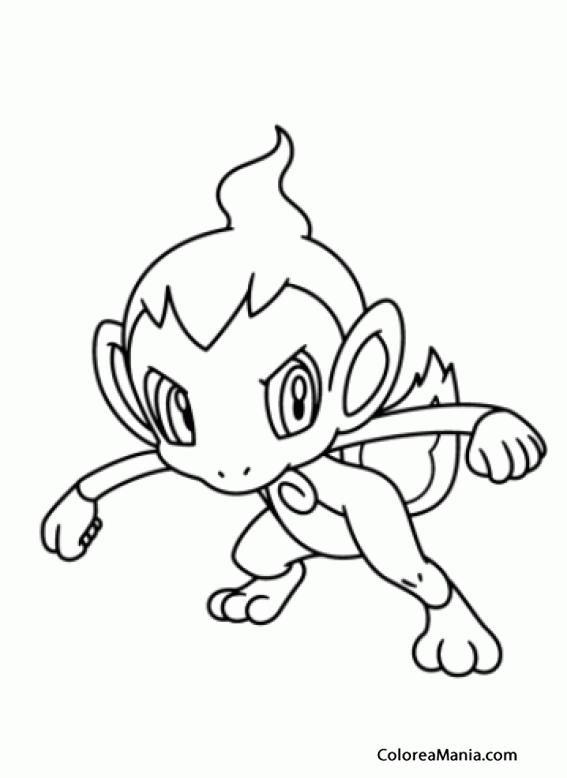 Colorear Chimchar pequein