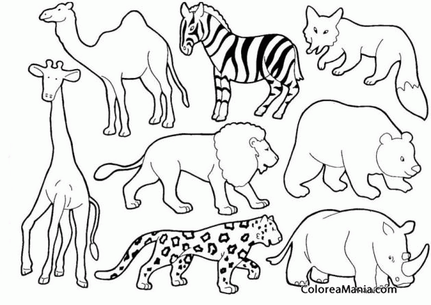 Acurrucarse visto ropa Residuos Colorear Animales salvajes 2 (Animales de la Selva), dibujo para colorear  gratis