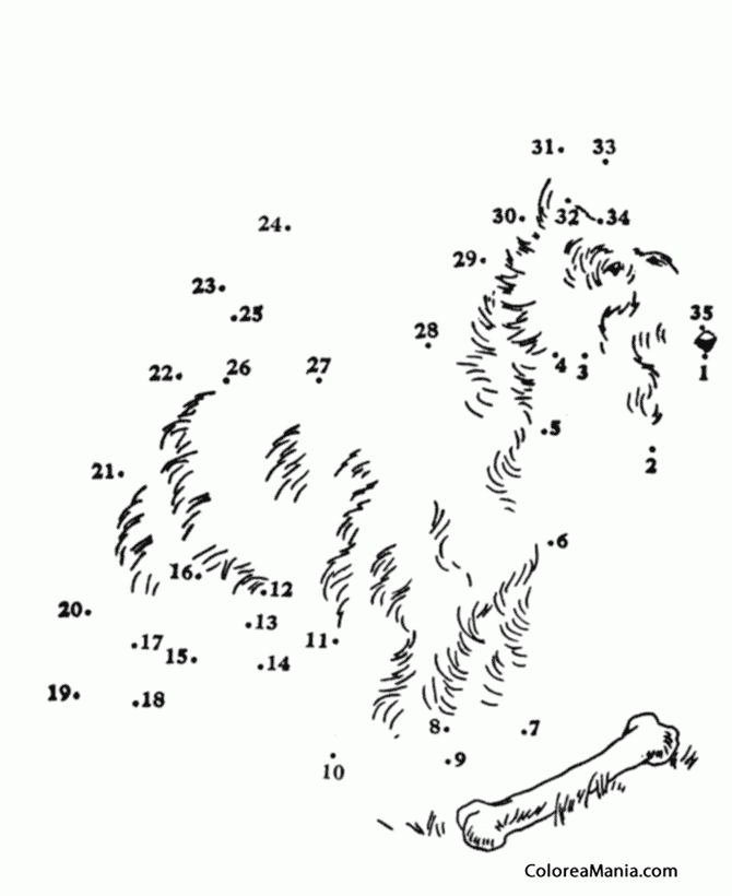 Colorear Perrito scottish con hueso