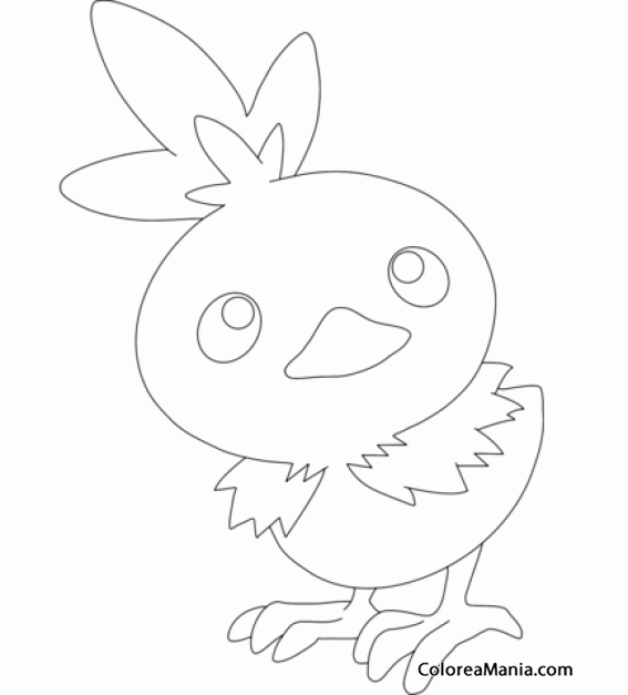 Colorear Torchic. Generation III Pokemon