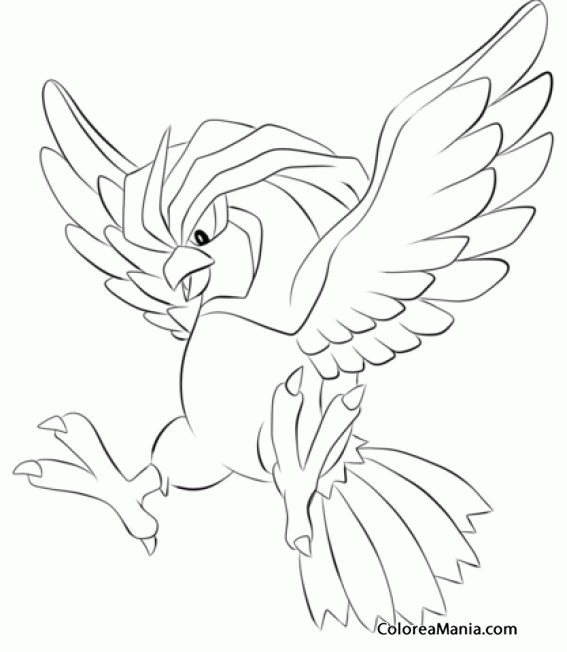 Colorear Pidgeotto. Generation I Pokemon