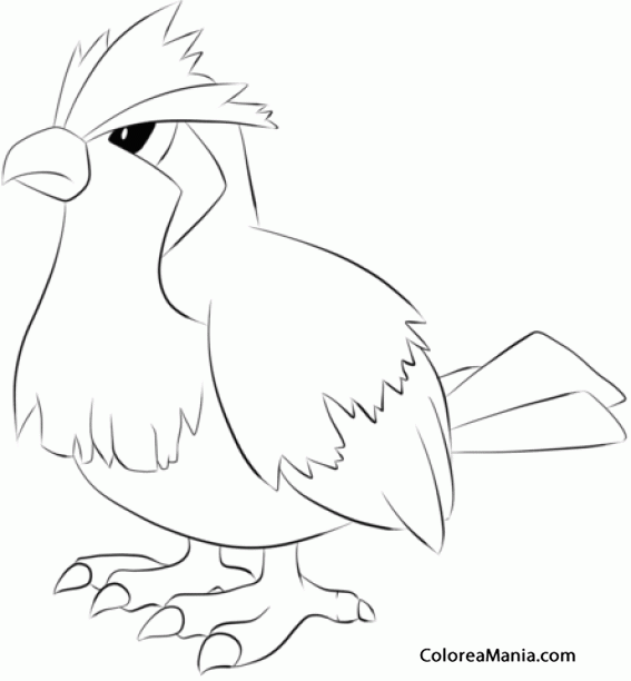 Colorear Pidgey. Generation I Pokemon