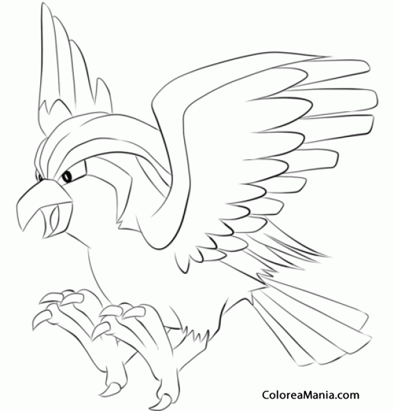 Colorear Pidgeot. Generation I Pokemon