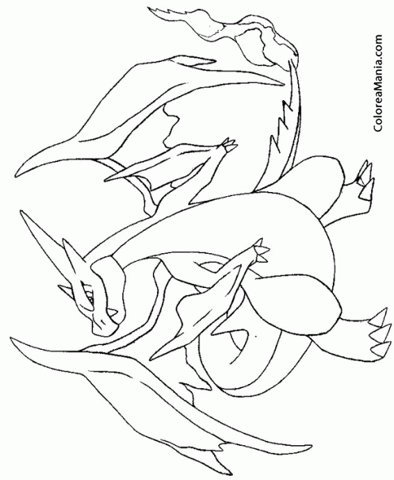 Colorear Mega Y Charizard