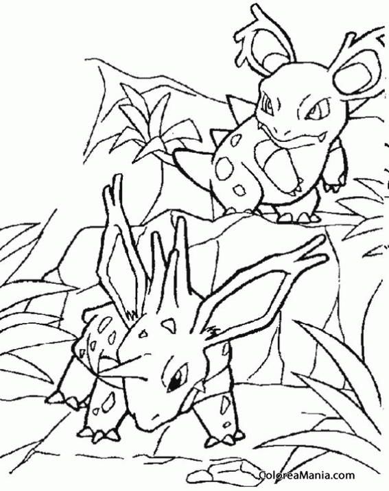 Colorear Pokemon Nidoran y Nidorina