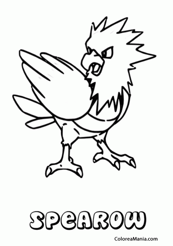 Colorear Spearow 2