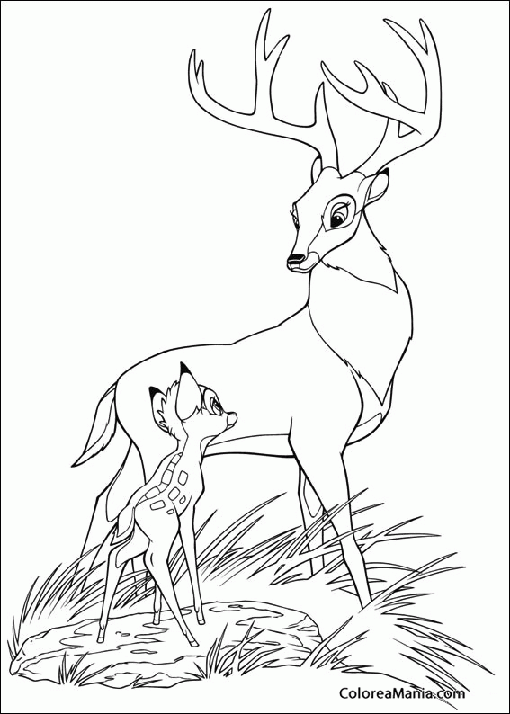 Colorear Bambi y su mam