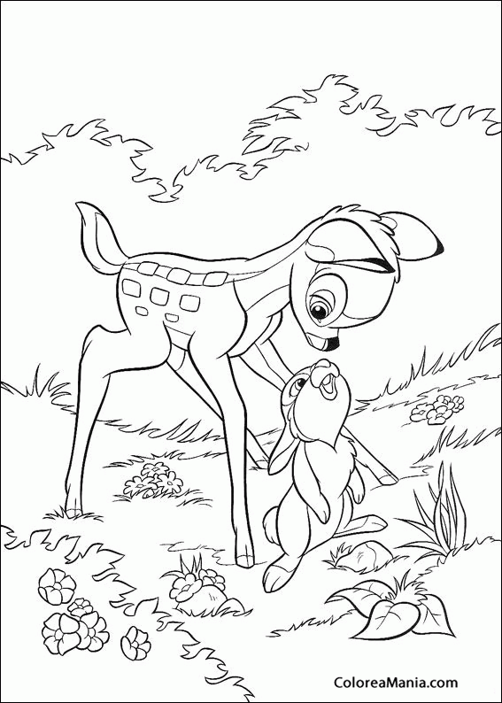 Colorear Bambi y Tambor 3