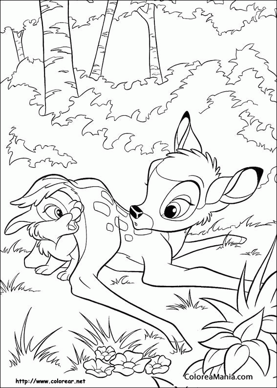 Colorear Bambi y Tambor 4