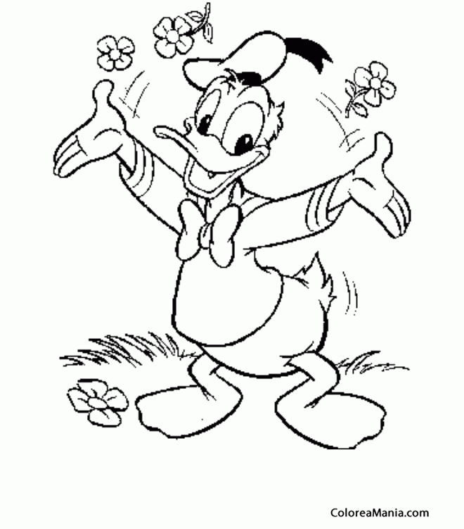Colorear Donald lanza flores