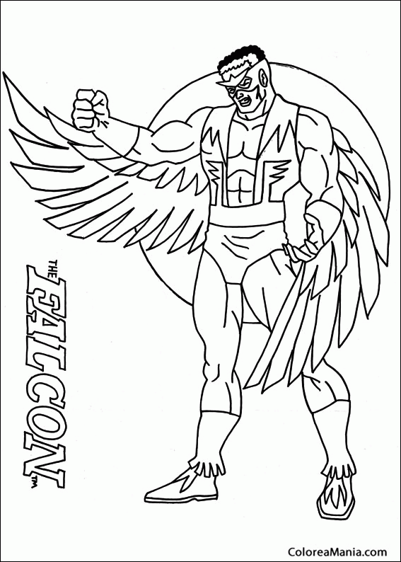 Colorear Falcon