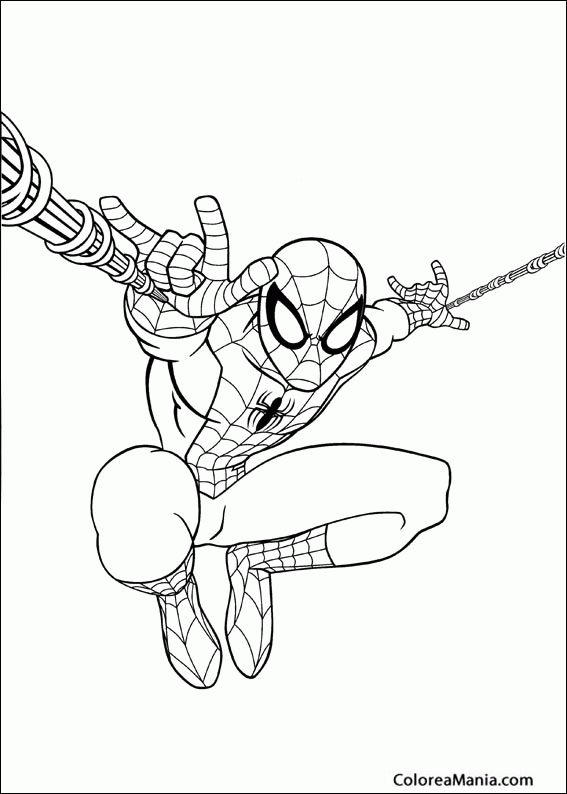 Colorear Spiderman lanza telarañas (Spiderman), dibujo para colorear gratis