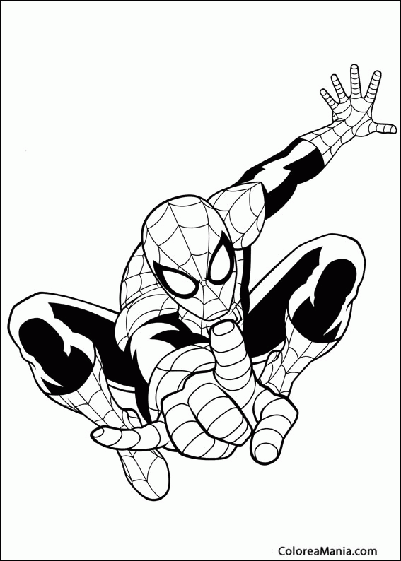 Colorear Spiderman te seala