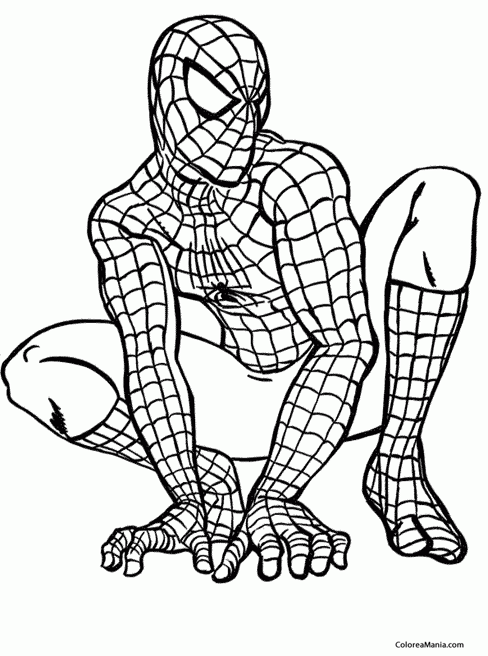 Colorear Spiderman está atento (Spiderman), dibujo para colorear gratis