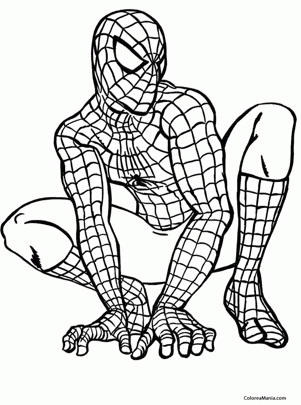 Colorear Spiderman est atento