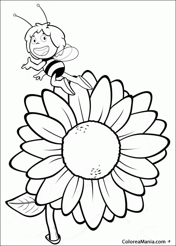 Colorear Maya ante un girasol (La abeja Maya), dibujo para colorear gratis