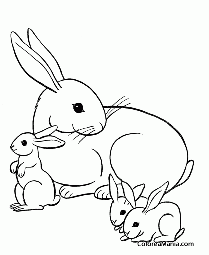 Colorear Conejo mamá con sus bebés (Animales de Granja), dibujo para colorear gratis Colorear Conejo mamá con sus bebés (Animales de Granja), dibujo para colorear gratis