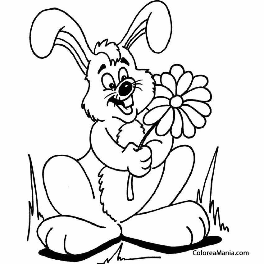 Colorear Conejo con una flor